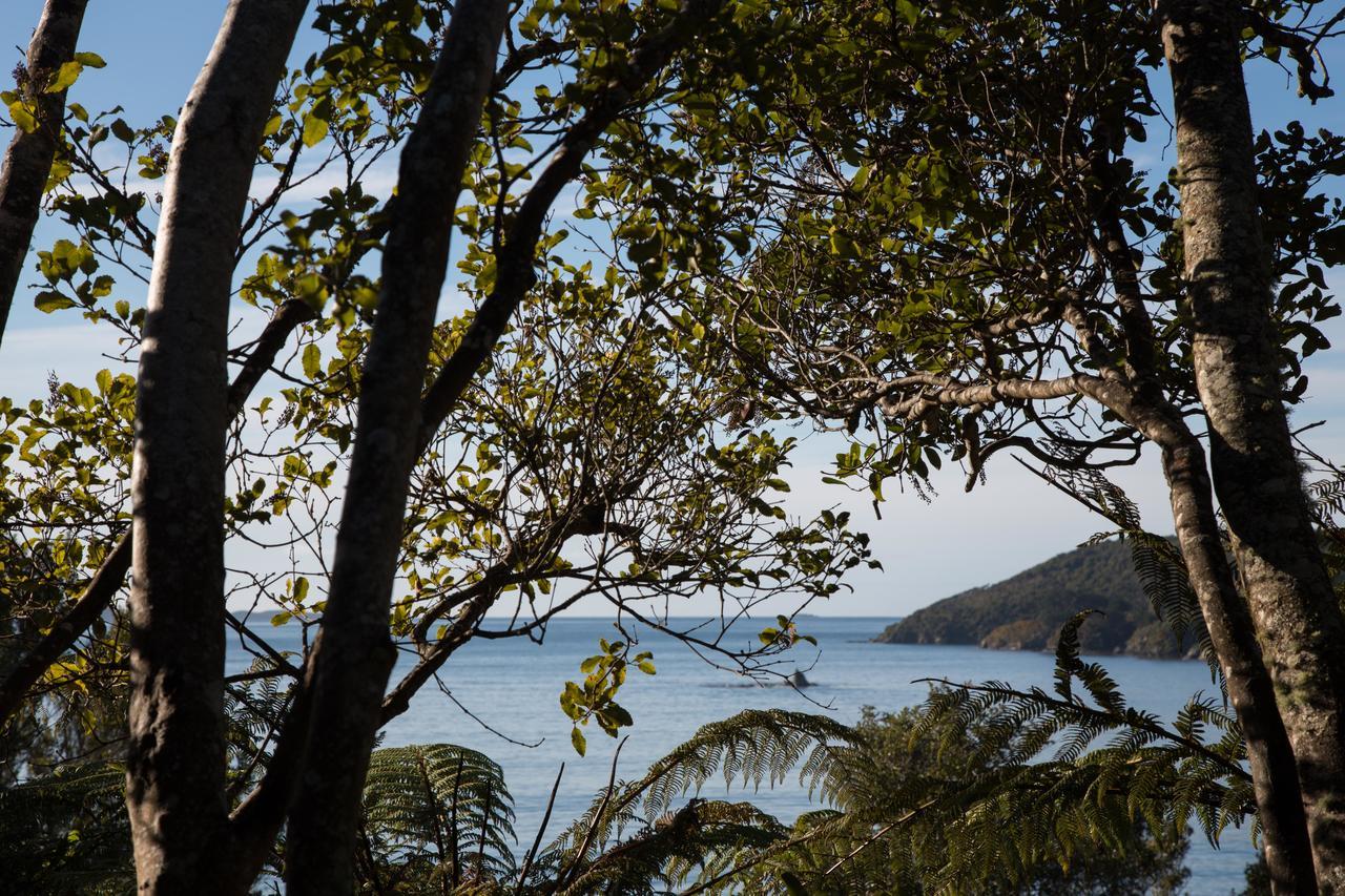 Church Hill Boutique Lodge & Restaurant Half-moon Bay Bagian luar foto